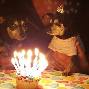 Meet your Posher, Patti